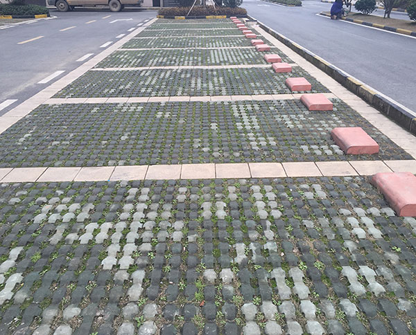植草砖案例